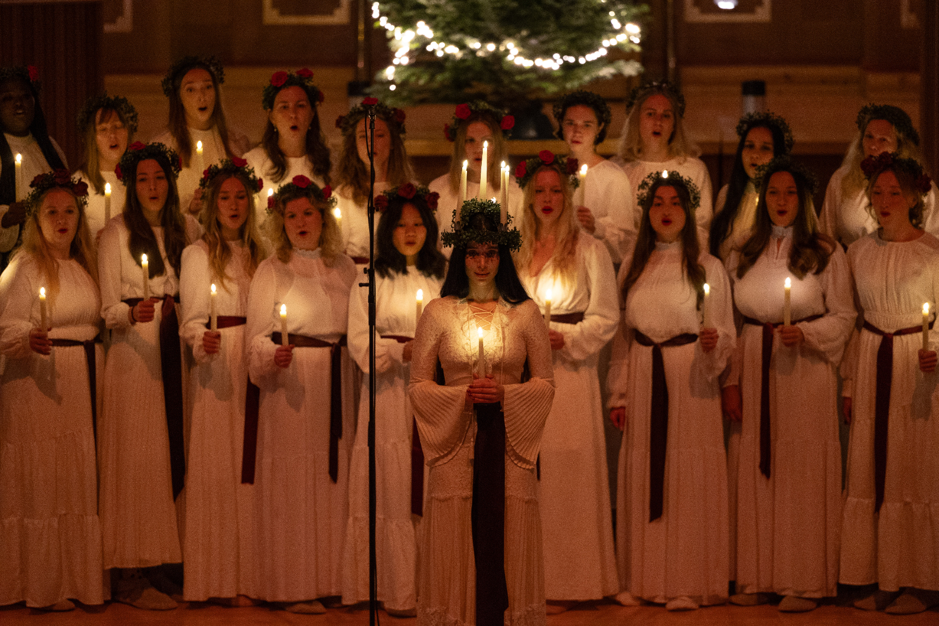 Lucia singers in white robes with the Lucia bride at centre and a candlelit Christmas tree behind